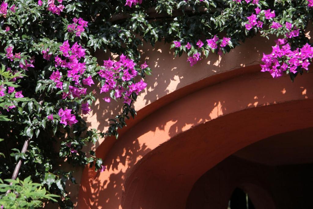 Hôtel Castell'Verde Porto-Vecchio  Exterior foto